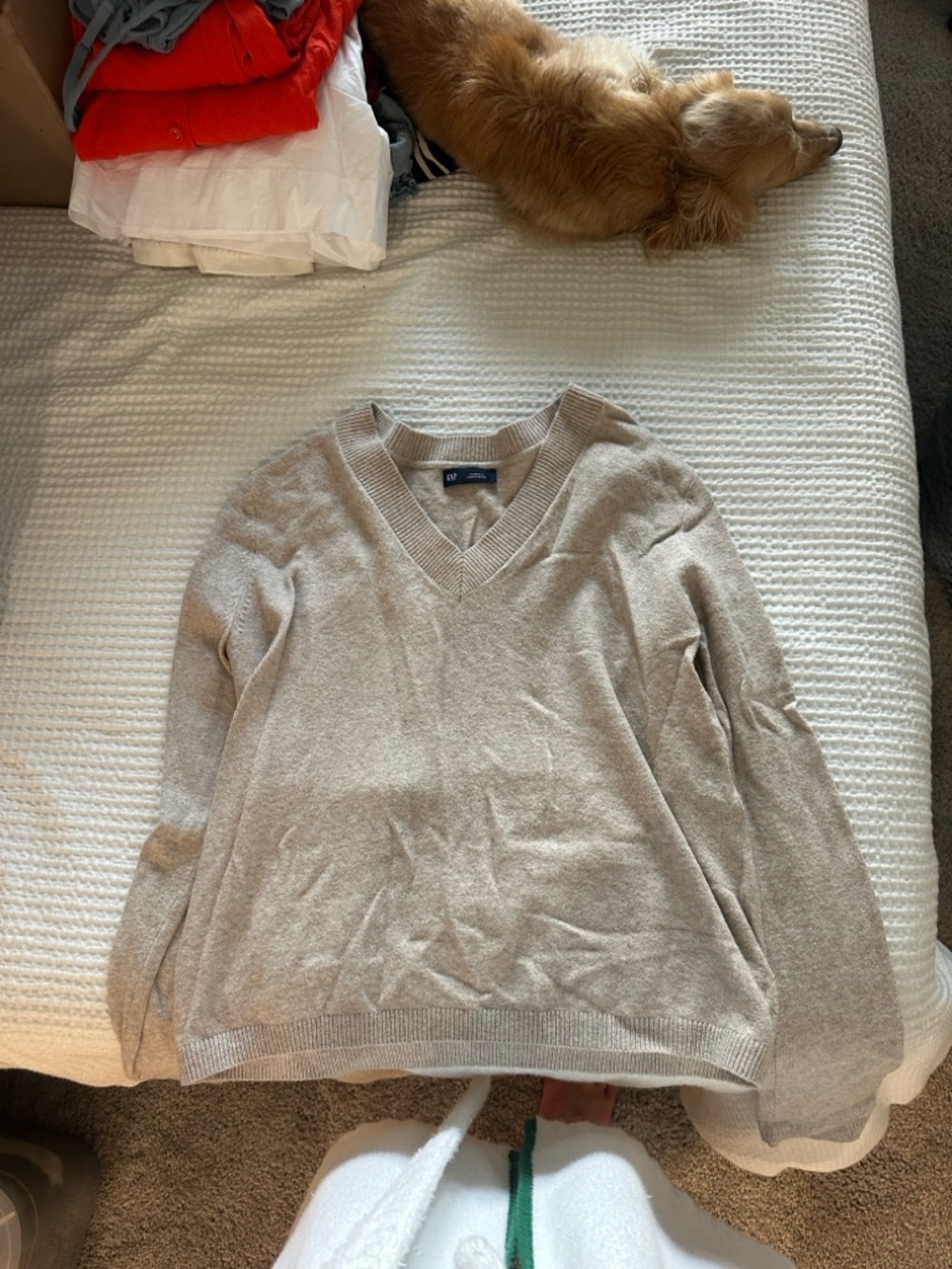 GAP Women's V-Neck Sweater in Light Taupe